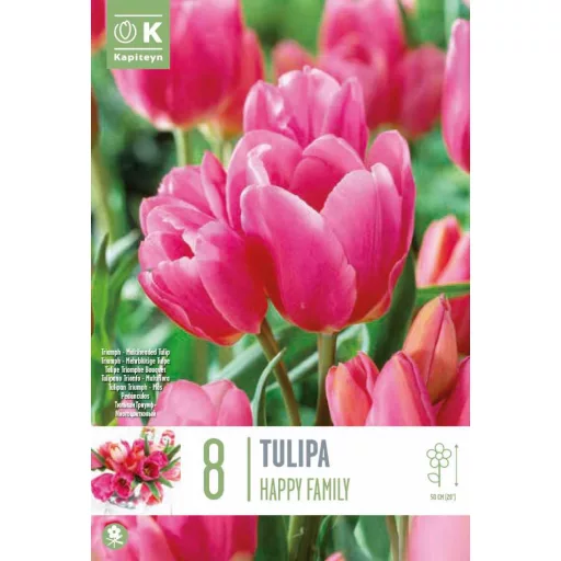 Tulipa Multi-headed 'Happy Family' - Tulipán Multi – Family 8db/csomag