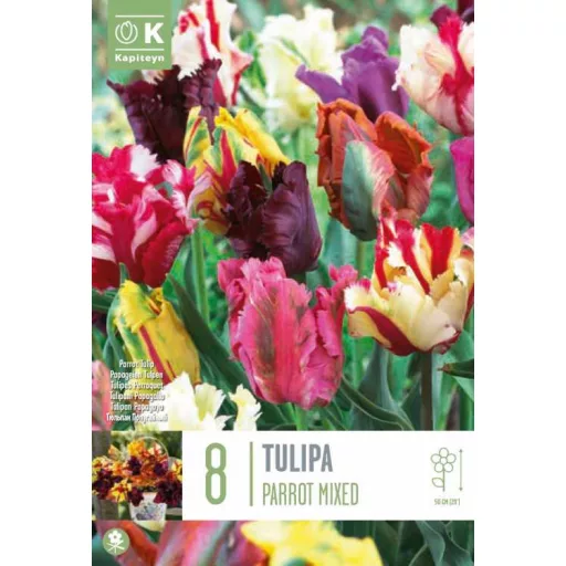 Tulipa Parrot 'mix' - Tulipán Parrot színkeverék 8 db/csomag