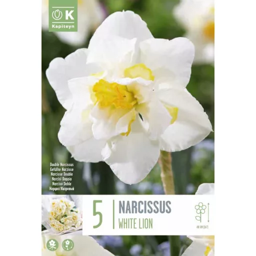 Narcissus 'White Lion' - Teltvirágú nárcisz 'White Lion' 5db/csomag