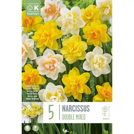 Narcissus 'Double Mixed' - Teltvirágú nárcisz színkeverék 5db/csomag