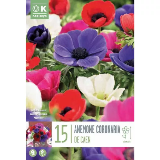 Anemone coronaria ‘De Caen Mixed Colours - Anemone De – 15 db/csomag