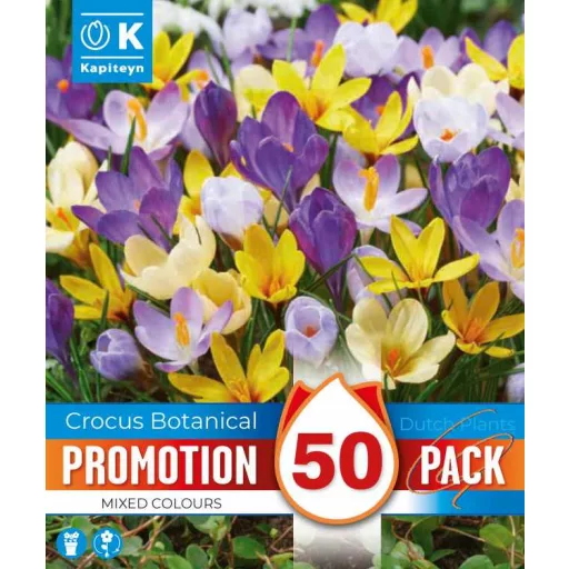 Crocus species mix - Krókusz színkeverék 50 db/csomag