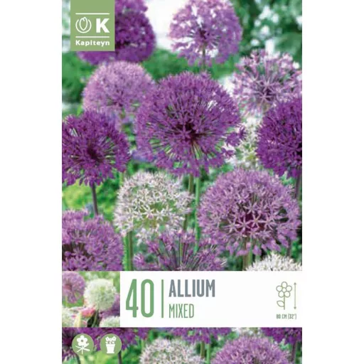 Allium Mixed Colours - Allium díszhagyma keverék 40 db/csomag