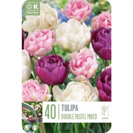 Tulipa Double pastel mix - Tulipán Double pasztel – 40 db/csomag