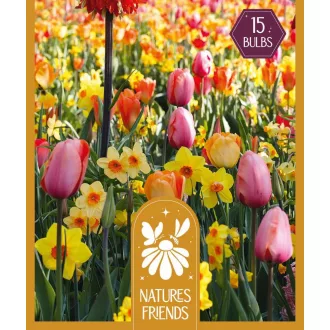 Nature'S Friends Pastel Shades - Nature's Friends – - 15db/csomag – Kombinációk