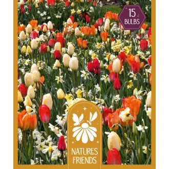 Nature'S Friends Sunshine Shades - Nature's Friends – Mix 15db/csomag – Kombinációk
