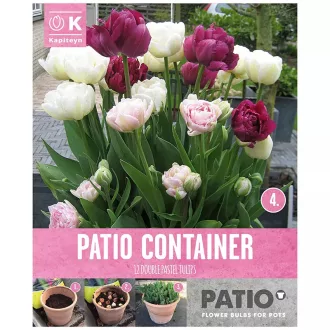 Garden Container Pack Tulipa Douple Pink, Purple & – ültetőkombináció – Kombinációk