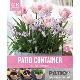 Garden Container pack Tulipa & Chionodoxa - Tulipán – ültetőkombináció – Kombinációk