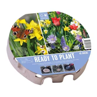 Plant - o -mat Wild Blooms - Vadvirágos XL virágtálca – 45 db/csomag – Kombinációk