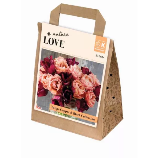 Bouquet Collection Tulipa ‘Copper & Black’ – fekete tulipánkeverék