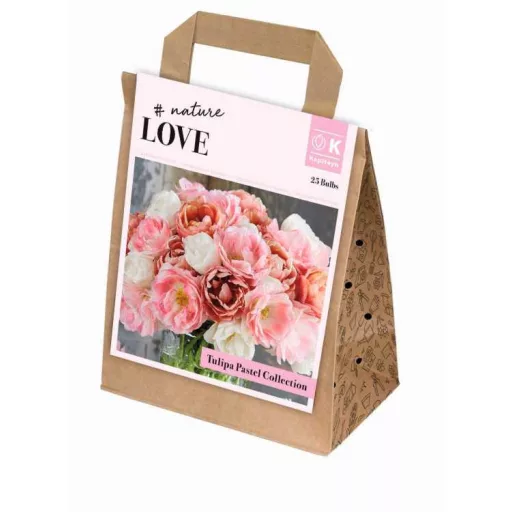 Bouquet Collection ‘Pastel Shades’ – Pasztellszínű tulipánmix