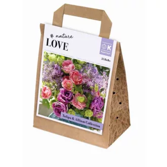 Bouquet Collection Tulipa & Allium – Tulipán és díszhagyma válogatás – Kombinációk
