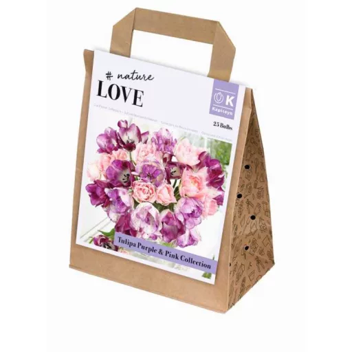 Bouquet Collection Tulipa ‘Pink & Purple’ – Rózsaszín és – válogatás – Tulipán