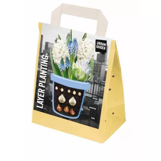 Layer Plantink pack White - 25 db/csomag (Virághagyma) – Kombinációk