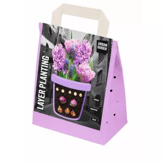 Layer Planting Purple - 25 db/ csomag (Virághagyma) – Kombinációk