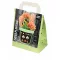 Layer Planting Orange - 25 db/ csomag (Virághagyma) – Kombinációk