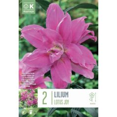 Lilium Lótusz Öröm