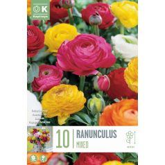 Ranunculus – Boglárka  Vegyes