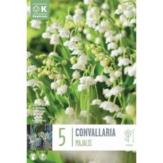 Convallaria - Gyöngyvirág Majalis 