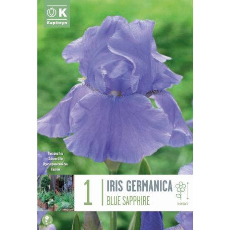 Iris – Nőszirom  Germanica Kék Zafír