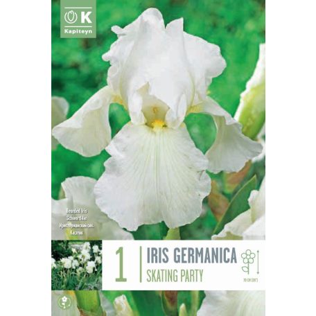 Iris – Nőszirom  Germanica Korcsolyaparti