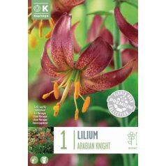 Lilium Martagon Arab Lovag