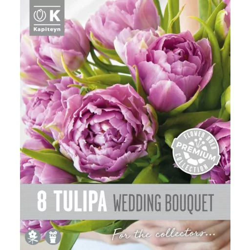 Tulipa Double Wedding Bouquet - Tulipán Double – Bouquet 8db/csomag