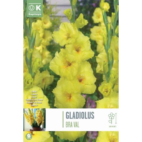 Tálca Gladiolus - Kardvirág Bra Val