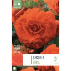 Rack Begonia Dupla Narancs