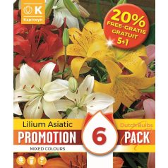 Promóció Lilium Ázsiai + 20% Ingyen (5 + 1 Hagyma)