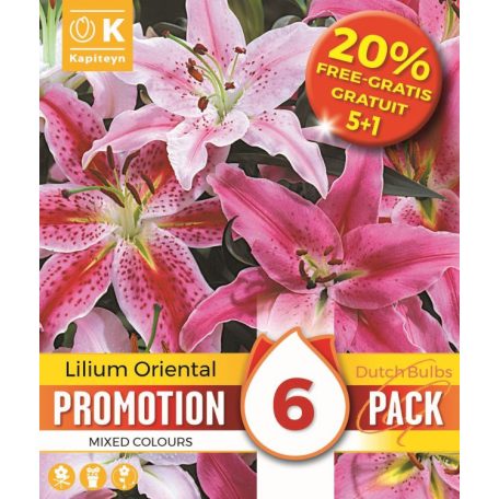 Promóció Lilium Orientális + 20% Ingyen (5 + 1Hagyma)