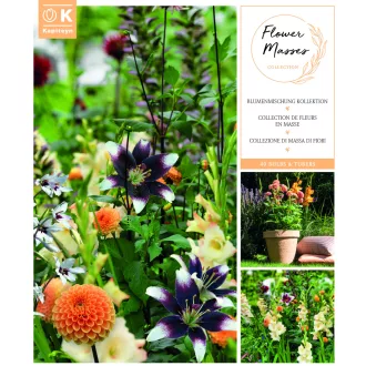 Colour Therapy prémium virágkollekció