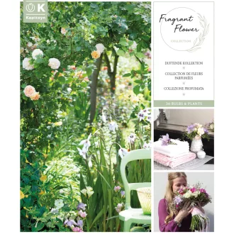 Fragrances Collection illatos virágválogatás