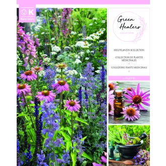 Green Healers Nature Love virágválogatás