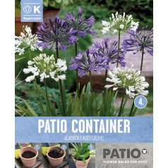   Kerti Konténer Csomag Agapanthus - Szerelemvirág  - Szerelemvirág  - Afrikából