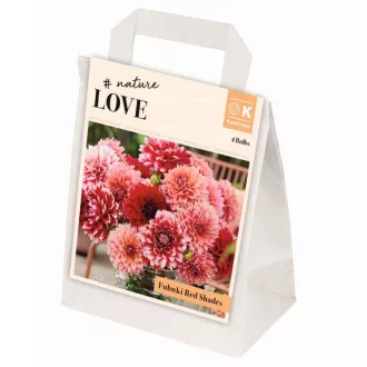 Nature Love dáliakollekció piros árnyalatok 4db