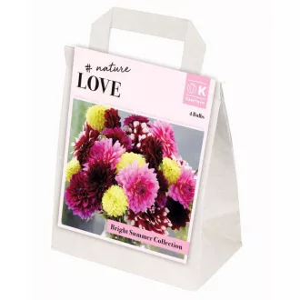 Bright Summer Nature Love dália válogatás