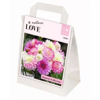 Romance Collection Nature Love dália válogatás