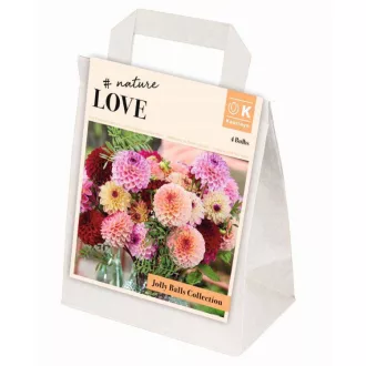 Jolly Balls Nature Love pompon dália válogatás