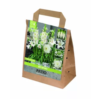 White Happiness fehér virághagyma válogatás