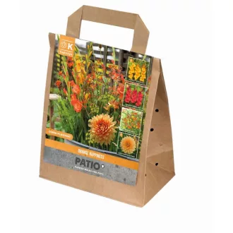 Orange Happiness narancs virághagyma válogatás