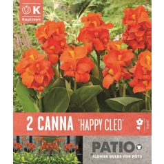 Canna - Kánna  Sol Happy Cleo ® 