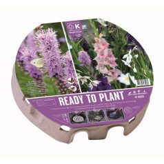   Készen az ültetésre – Lila és fehér harmónia  - Ready to Plant – Purple & White Harmony