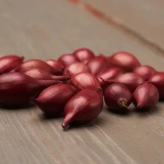 Akado - Onion Set - Vöröshagyma 100db/csomag – Hagymák