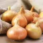 Senshyu Yellow - Onion Set - Vöröshagyma 100db/csomag – Hagymák