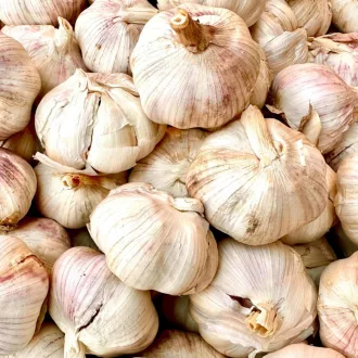 Garlic Thermidrome - Fokhagyma Thermidrome 3 db/csomag – Hagymák