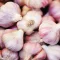 Garlic Germidour - Fokhagyma Germidour 2db/csomag – Hagymák