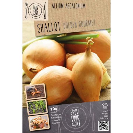 Mogyoróhagyma, Allium Ascalon Golden Gourmet