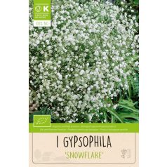 Gypsophila – Fátyolvirág Hópehely