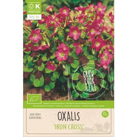 Oxalis – Madársóska  Deppei Vaskereszt